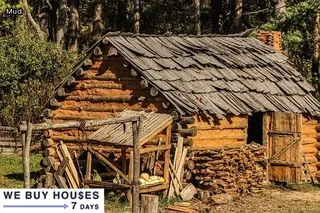 i have termites in my house