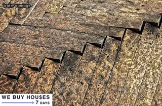 dehumidifier for water damage