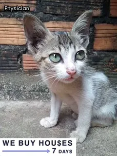 Patient